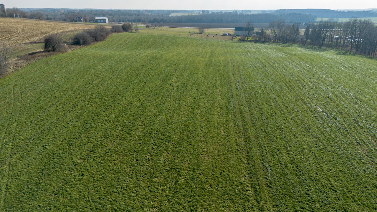 1177 Beitz Rd, Breslau, Ontario    - Photo 6 - RP2856797314