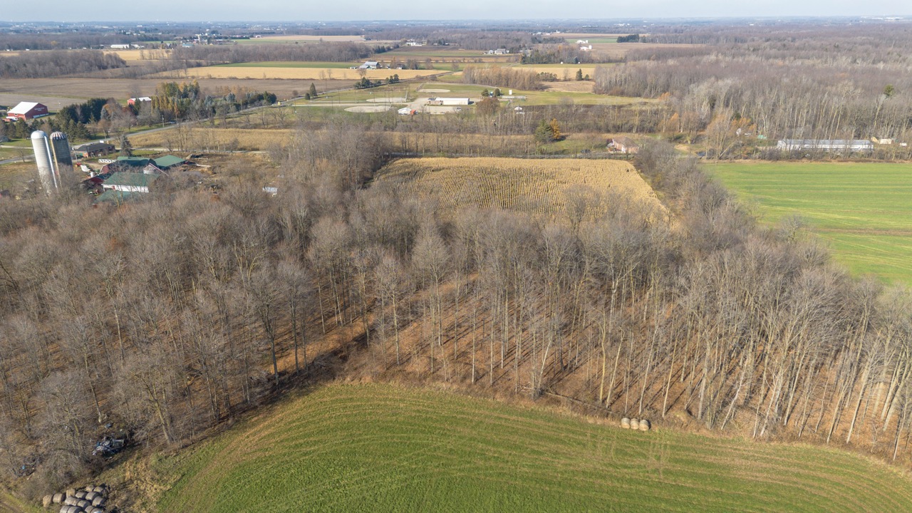 1177 Beitz Rd, Breslau, Ontario    - Photo 7 - RP2856797314