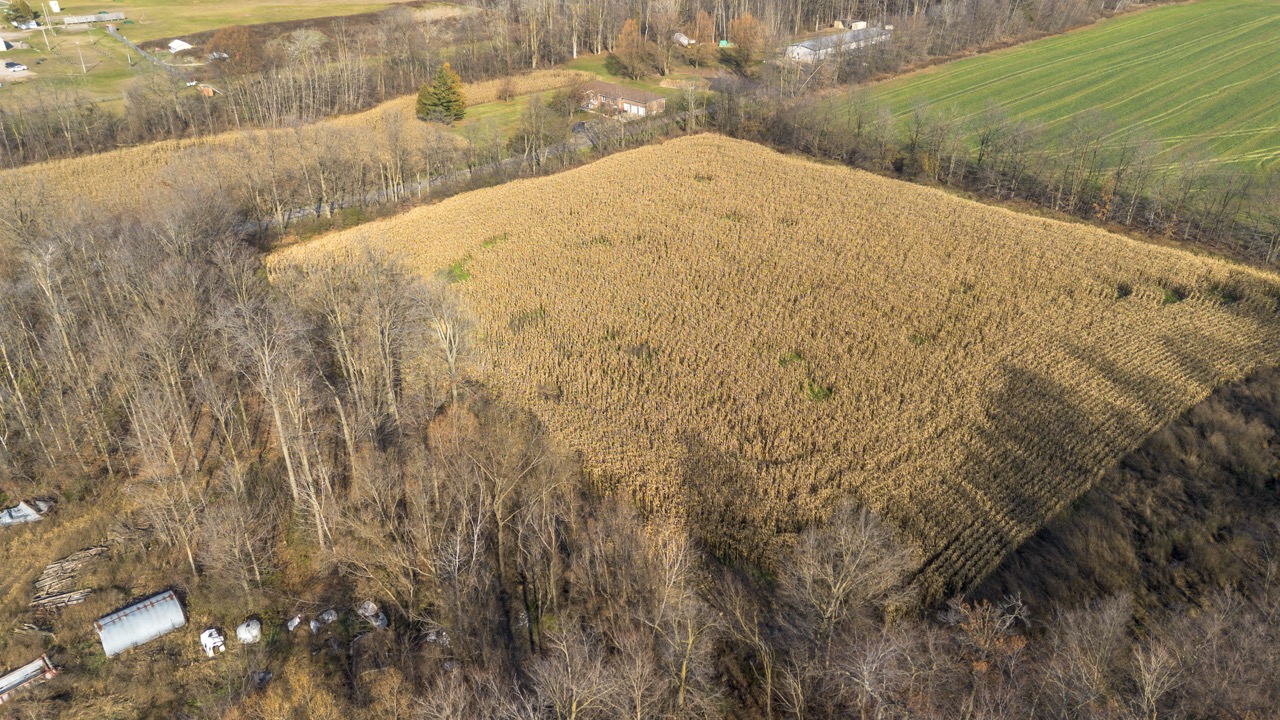 1177 Beitz Rd, Breslau, Ontario    - Photo 8 - RP2856797314