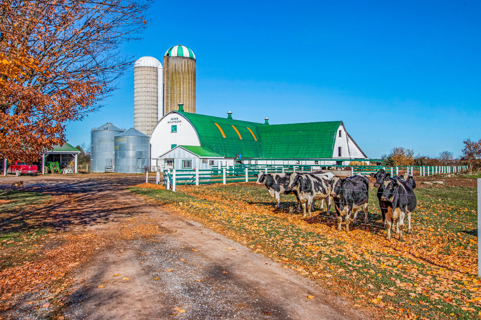 1048 5th Line, Selwyn, Ontario    - Photo 1 - RP1207862285