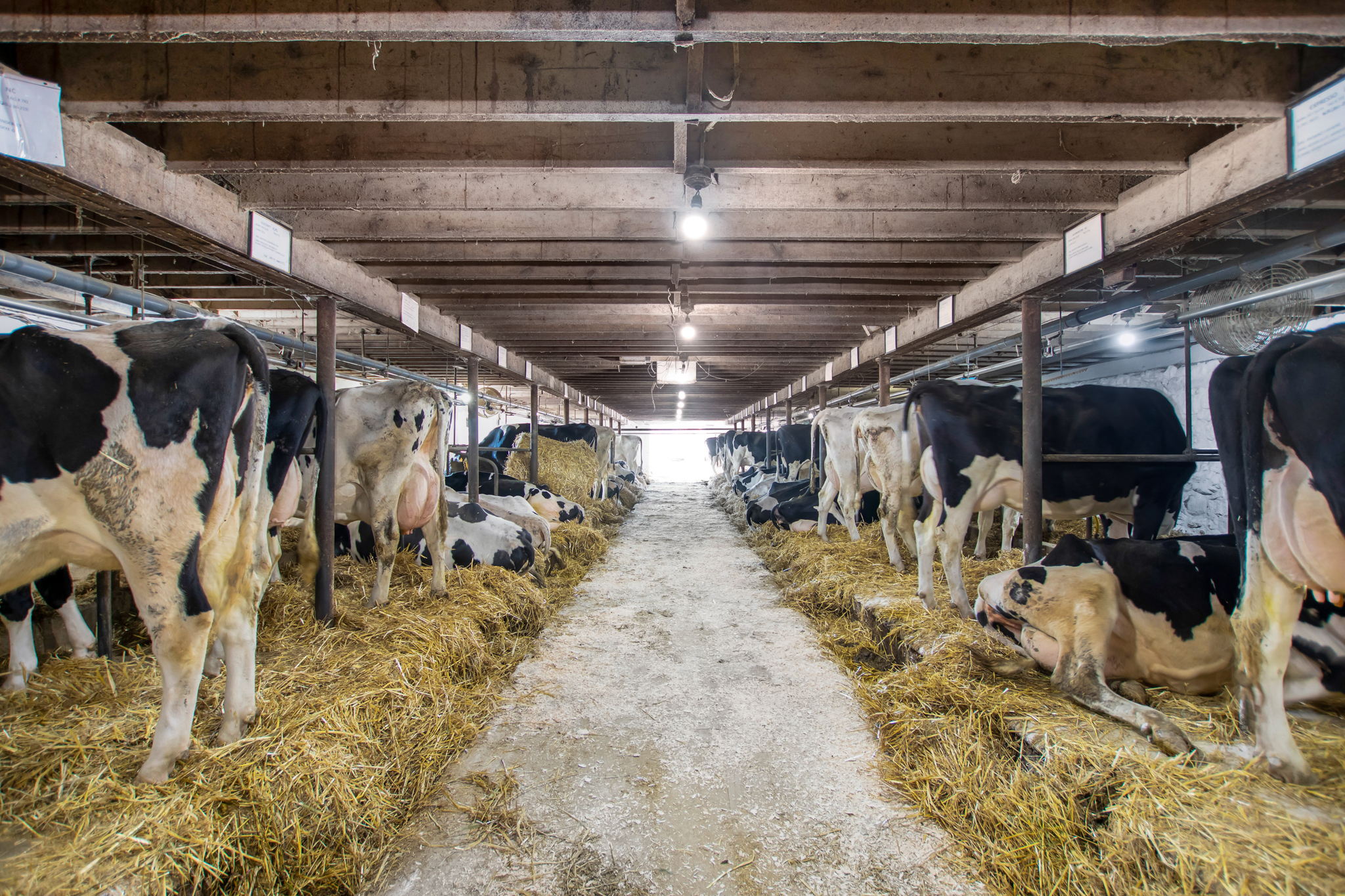 1048 5th Line, Selwyn, Ontario    - Photo 11 - RP1207862285