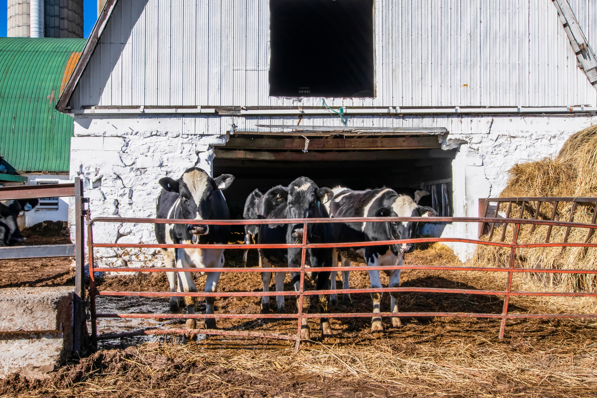 1048 5th Line, Selwyn, Ontario    - Photo 14 - RP1207862285