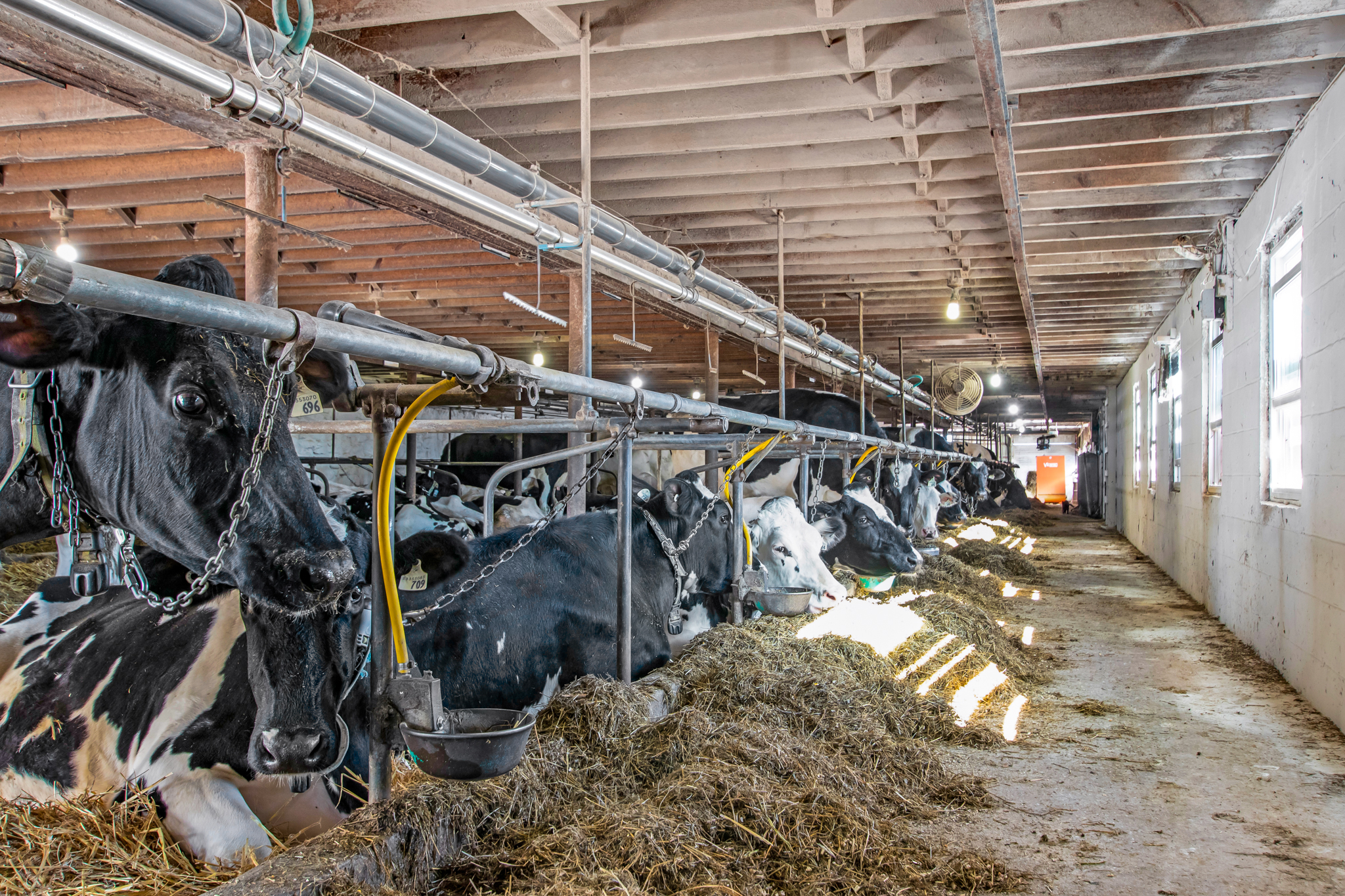 1048 5th Line, Selwyn, Ontario    - Photo 9 - RP1207862285