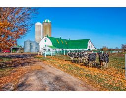 1048 5th Line, Selwyn, Ontario