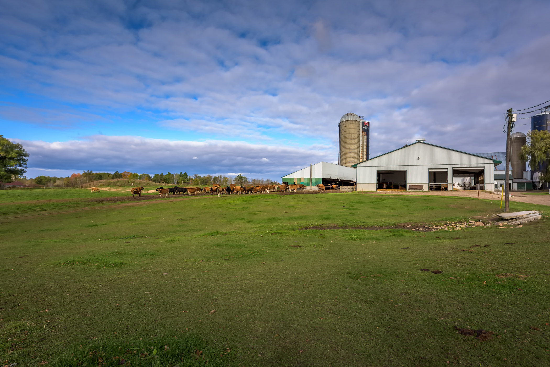 706905 Township Rd 2, Princeton, Ontario  N0J 1V0 - Photo 21 - RP4973896831