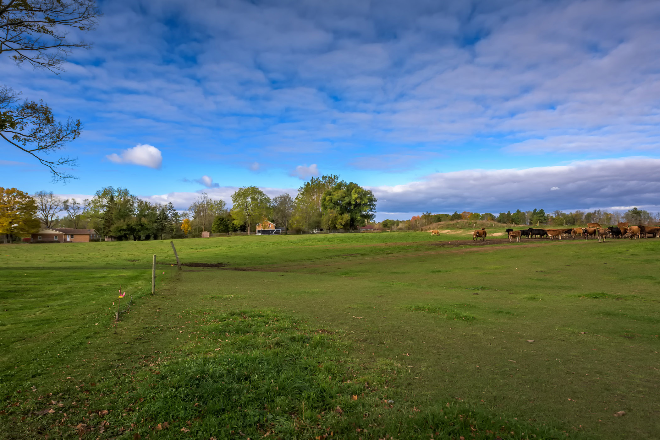 706905 Township Rd 2, Princeton, Ontario  N0J 1V0 - Photo 22 - RP4973896831