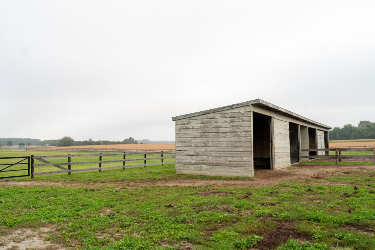 22556 Vanneck Road, Ilderton, Ontario  N0M 2A0 - Photo 37 - RP5096957974