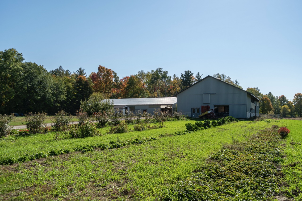 53609 Eden Line, Aylmer, Ontario  N5H 2R3 - Photo 14 - RP8257348674