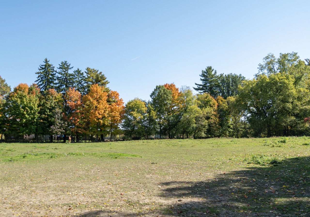 53609 Eden Line, Aylmer, Ontario  N5H 2R3 - Photo 29 - RP8257348674