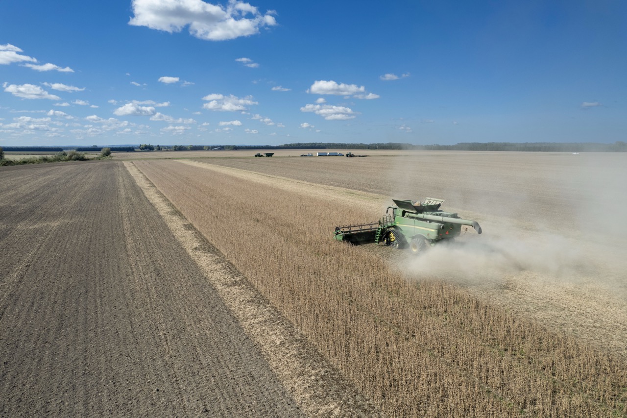 2225 Side Rd 15/16, New Lowell, Ontario    - Photo 10 - RP4916063414