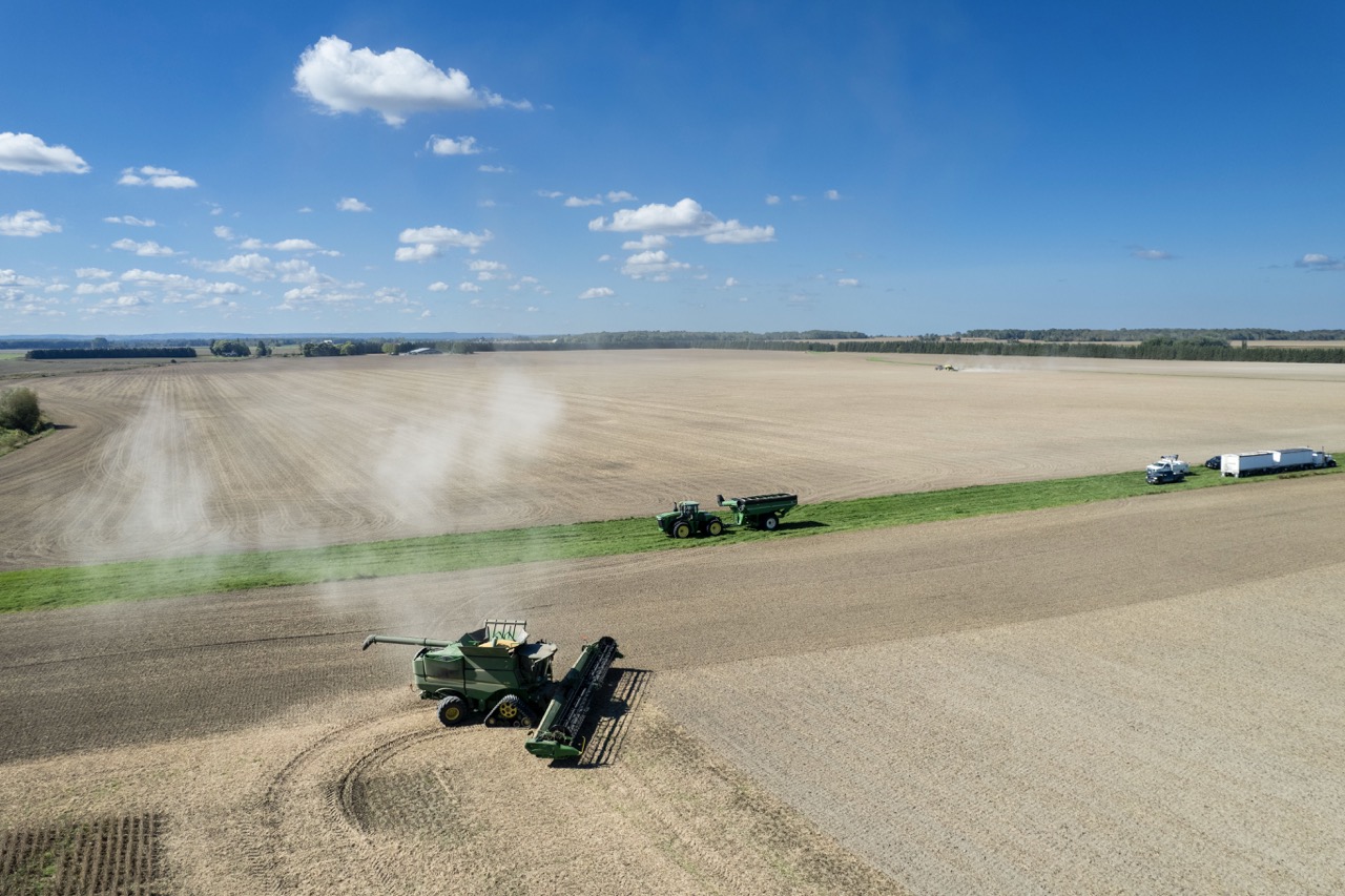 2225 Side Rd 15/16, New Lowell, Ontario    - Photo 11 - RP4916063414