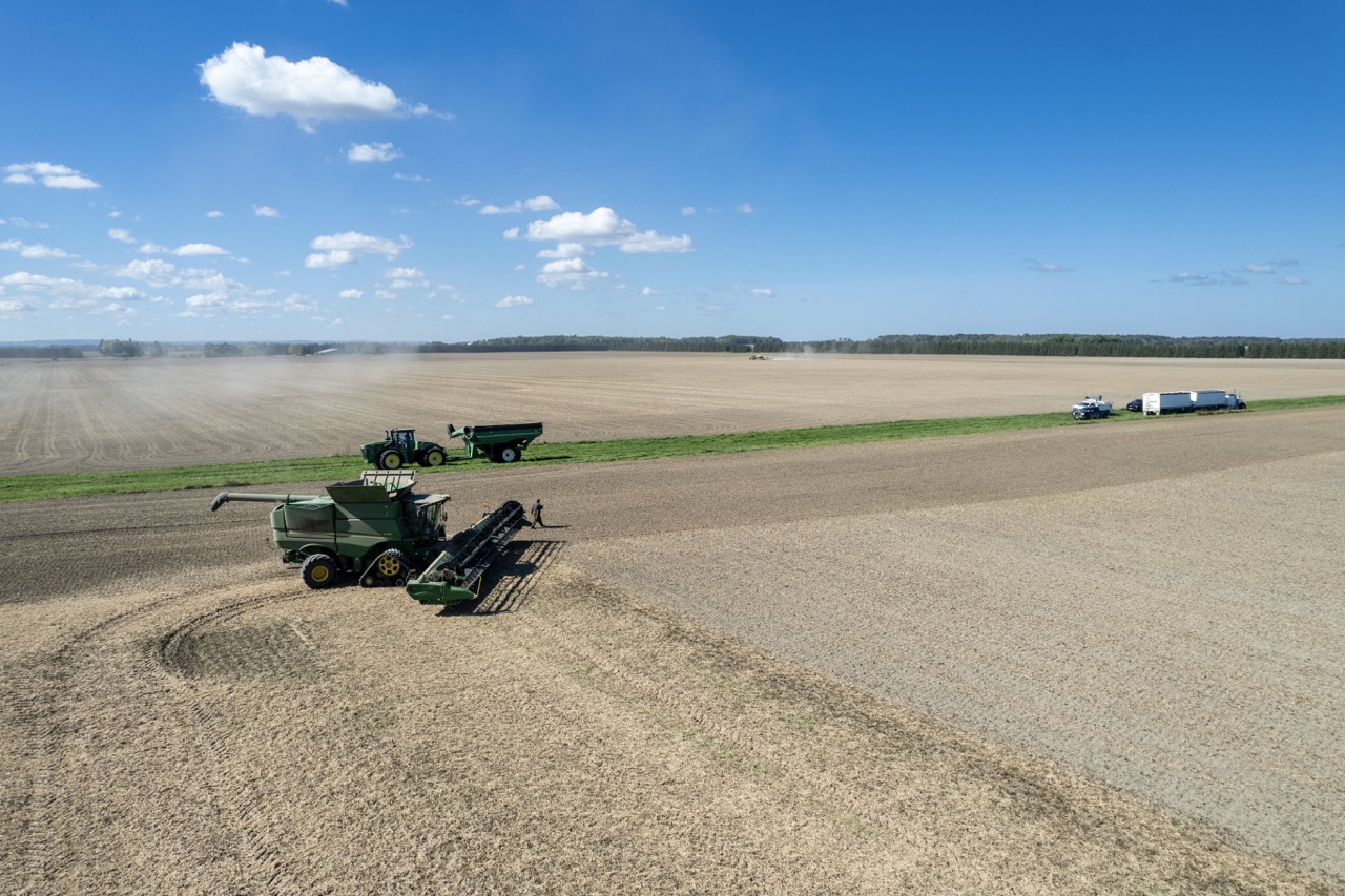 2225 Side Rd 15/16, New Lowell, Ontario    - Photo 12 - RP4916063414