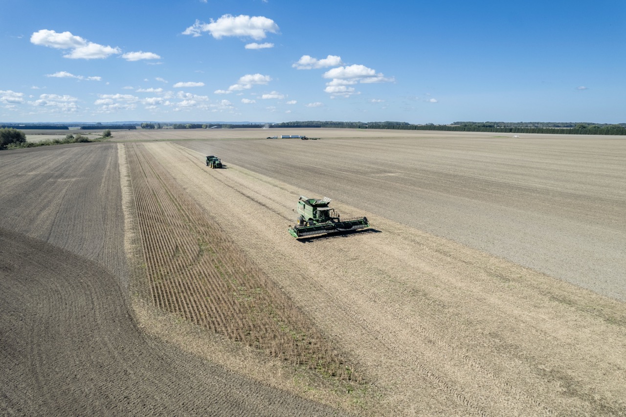 2225 Side Rd 15/16, New Lowell, Ontario    - Photo 13 - RP4916063414