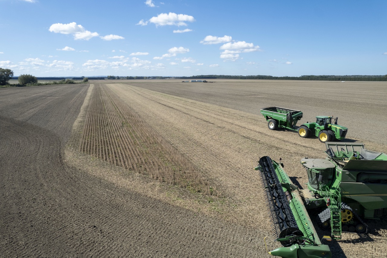 2225 Side Rd 15/16, New Lowell, Ontario    - Photo 14 - RP4916063414