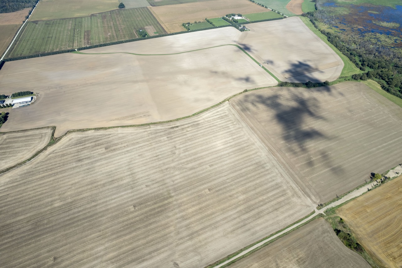 2225 Side Rd 15/16, New Lowell, Ontario    - Photo 17 - RP4916063414