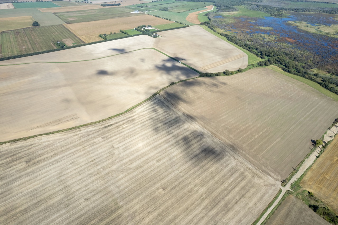 2225 Side Rd 15/16, New Lowell, Ontario    - Photo 18 - RP4916063414