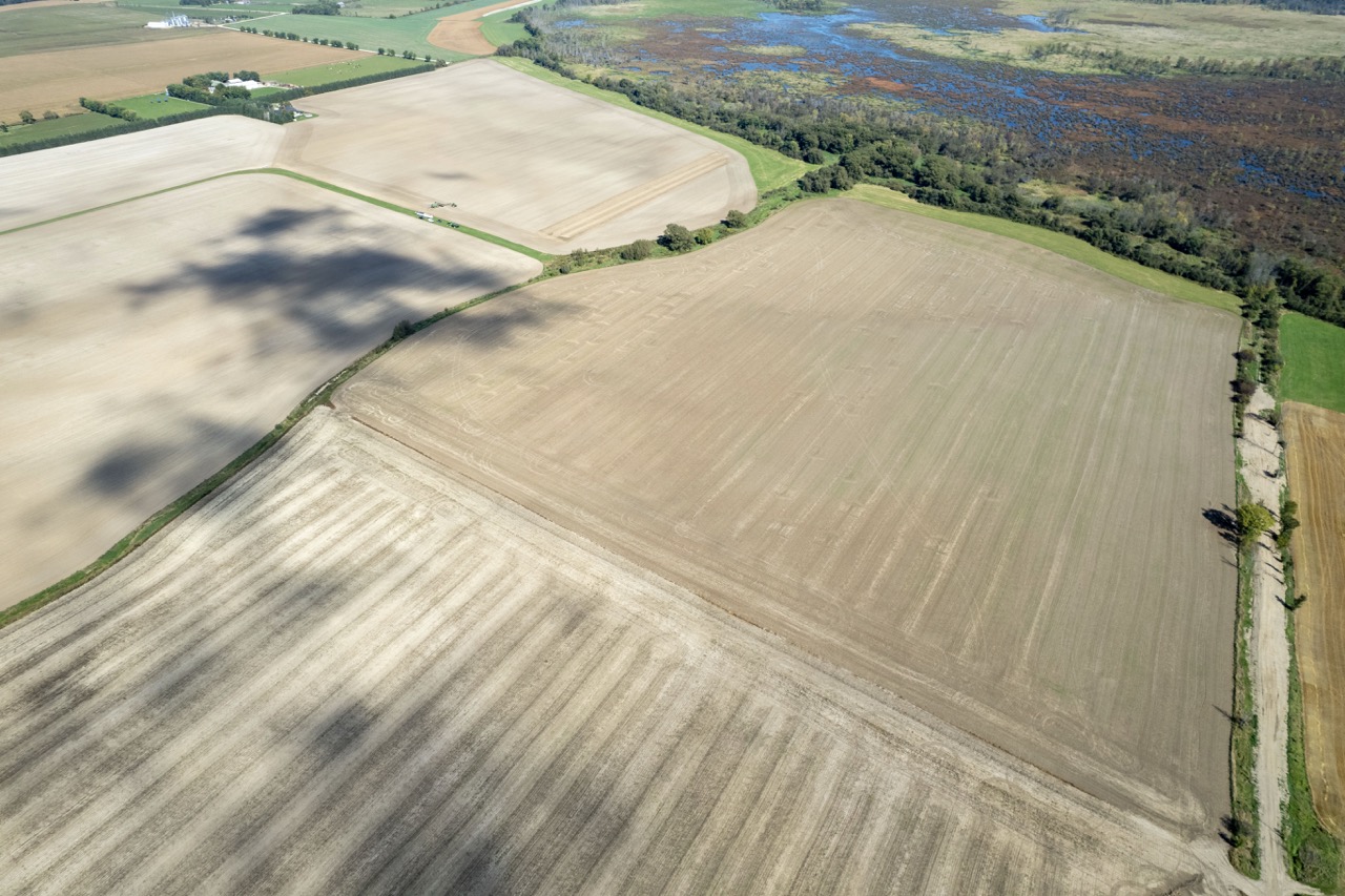 2225 Side Rd 15/16, New Lowell, Ontario    - Photo 19 - RP4916063414