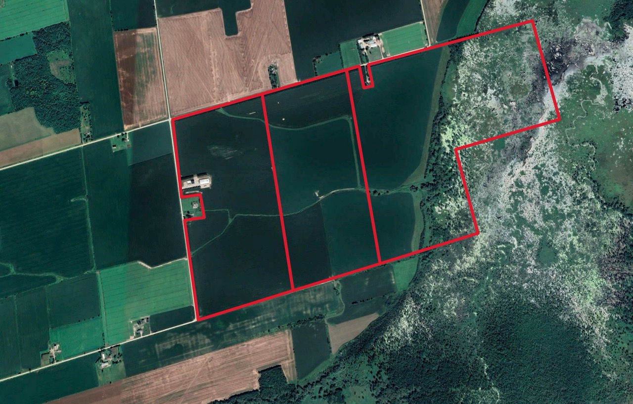 2225 Side Rd 15/16, New Lowell, Ontario    - Photo 2 - RP4916063414