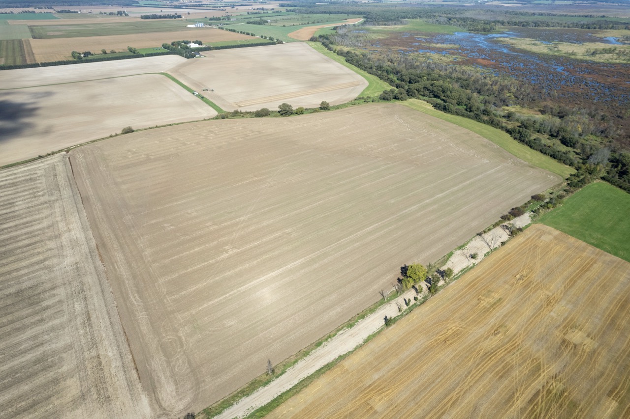 2225 Side Rd 15/16, New Lowell, Ontario    - Photo 24 - RP4916063414