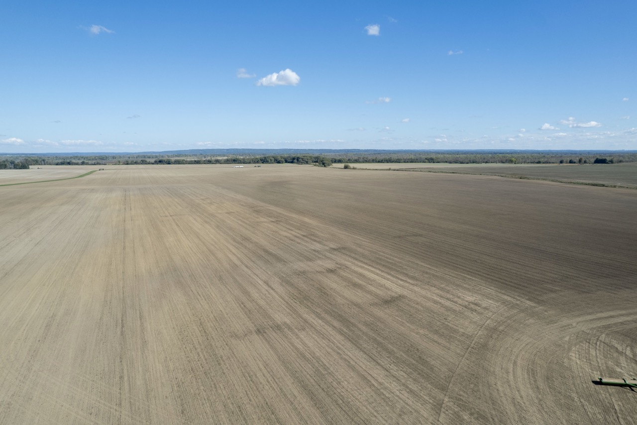 2225 Side Rd 15/16, New Lowell, Ontario    - Photo 28 - RP4916063414