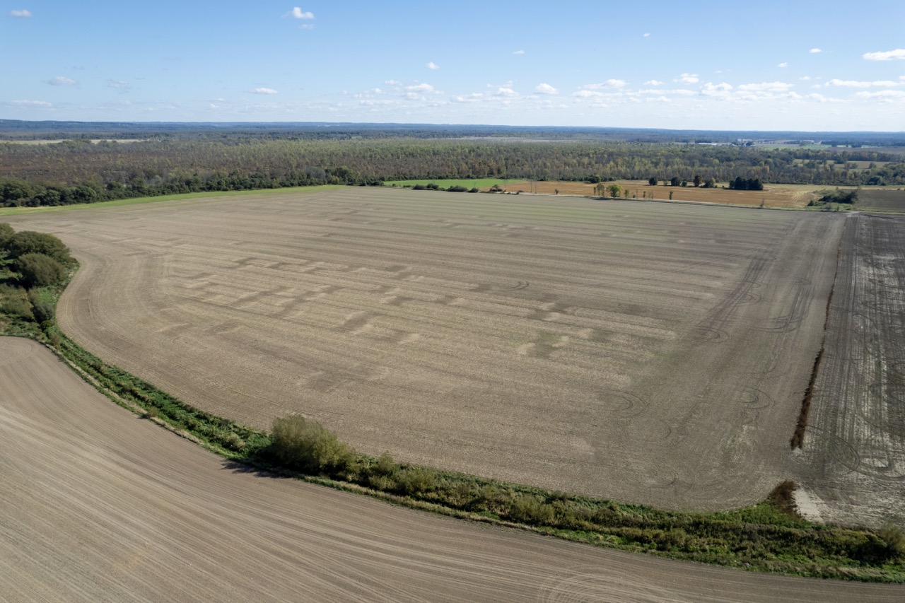 2225 Side Rd 15/16, New Lowell, Ontario    - Photo 32 - RP4916063414