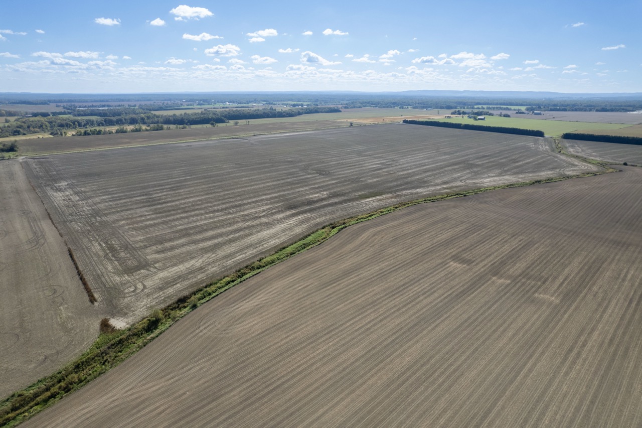 2225 Side Rd 15/16, New Lowell, Ontario    - Photo 33 - RP4916063414