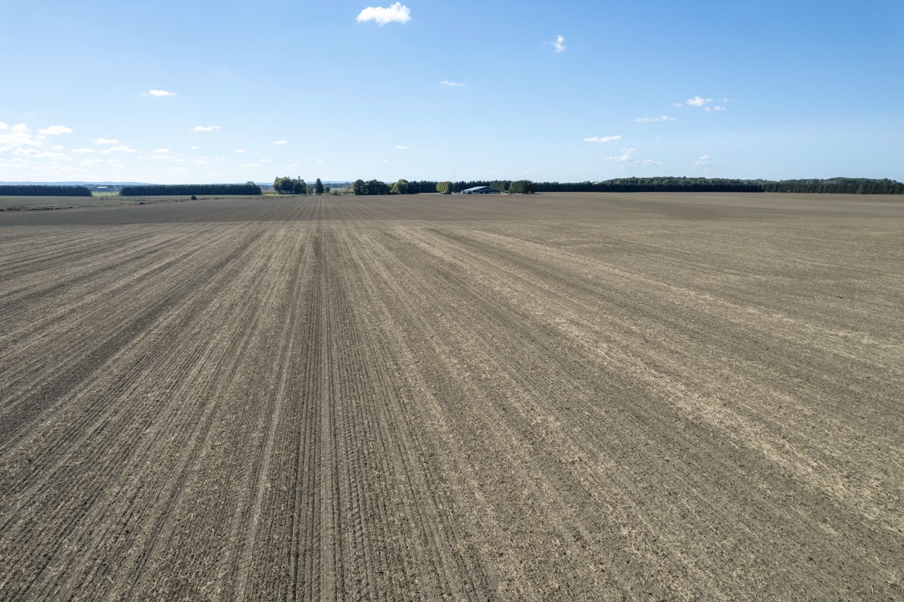 2225 Side Rd 15/16, New Lowell, Ontario    - Photo 35 - RP4916063414