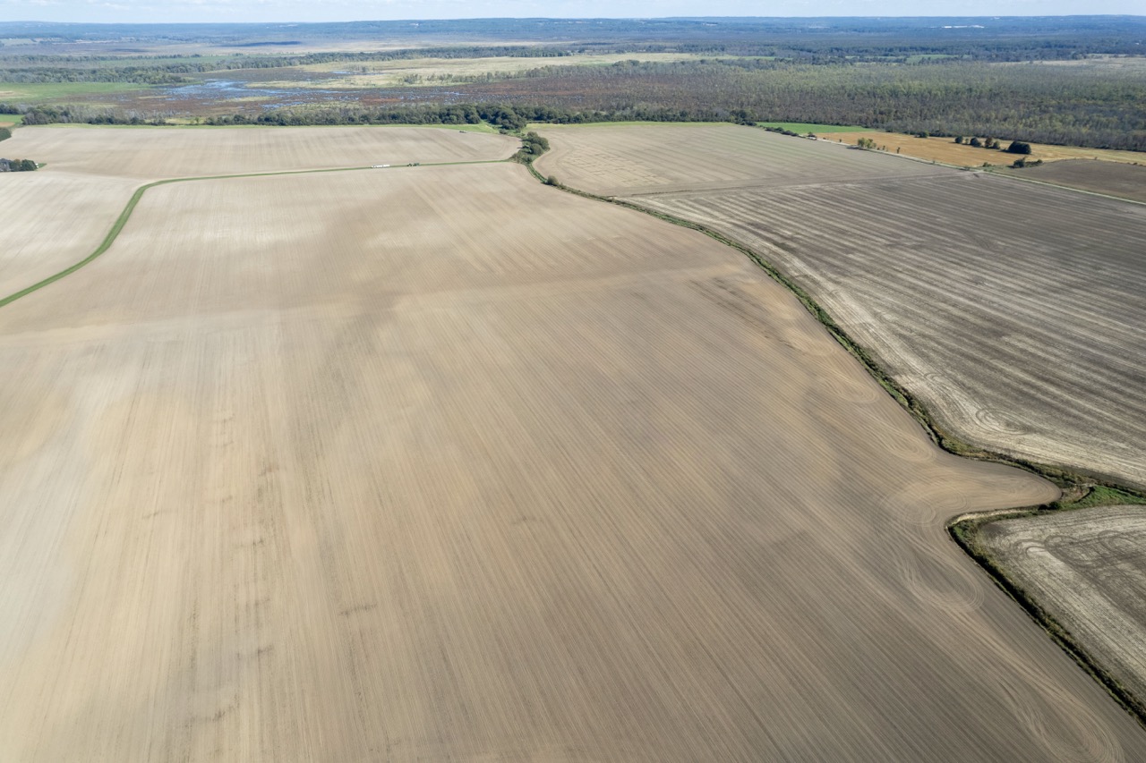 2225 Side Rd 15/16, New Lowell, Ontario    - Photo 36 - RP4916063414