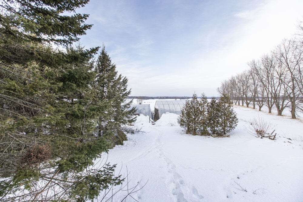 365 County Road 10, Vankleek Hill, Ontario  K0B 1R0 - Photo 16 - RP198918003