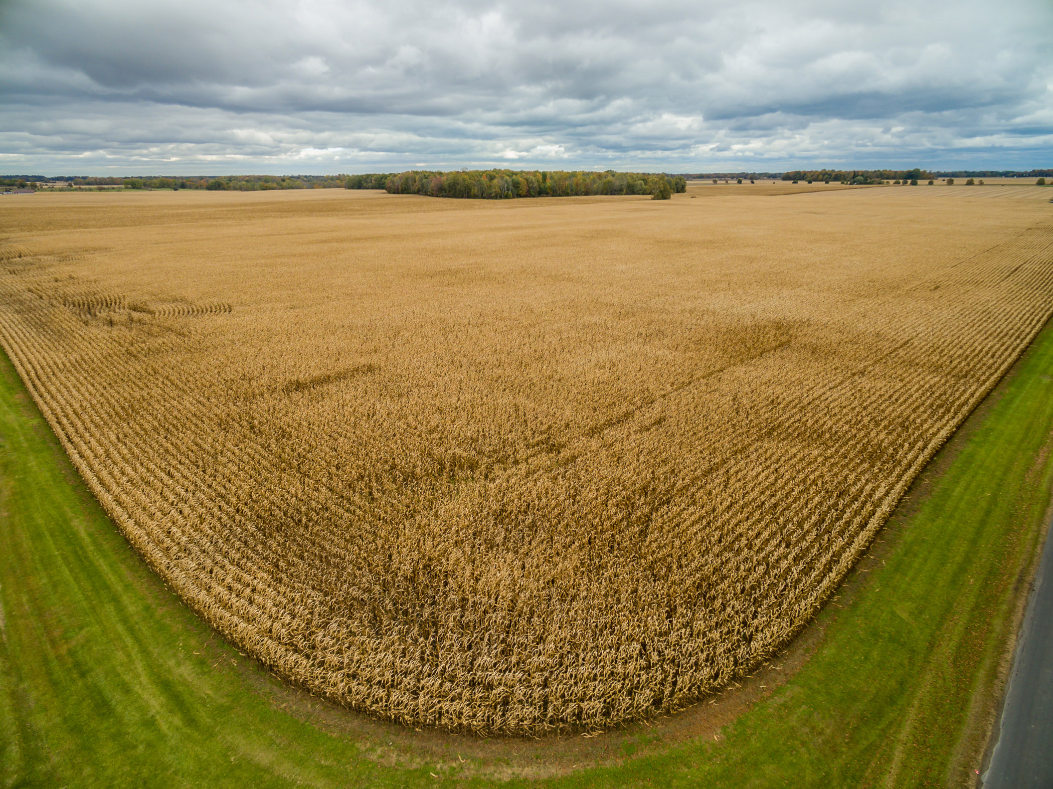 North Pt Lt 7 Conc 7 Coyne Rd, Dunwich, Ontario  N0L 1J0 - Photo 3 - RP1089465568