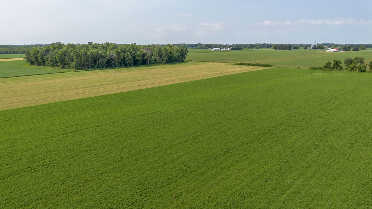 616725 13th Line, Tavistock, Ontario    - Photo 19 - RP1264801936