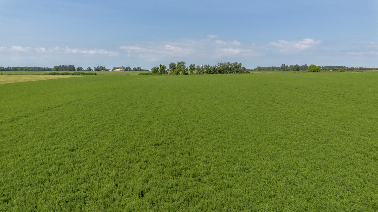 616725 13th Line, Tavistock, Ontario    - Photo 20 - RP1264801936