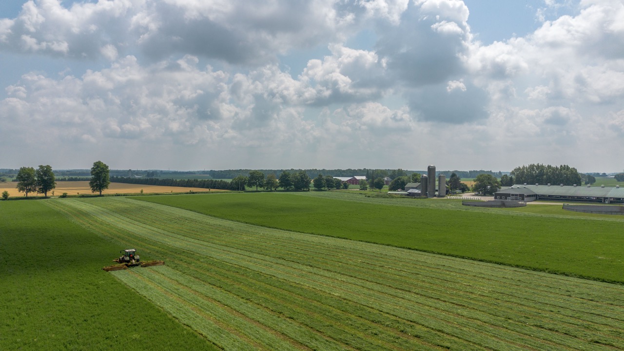 616725 13th Line, Tavistock, Ontario    - Photo 23 - RP1264801936