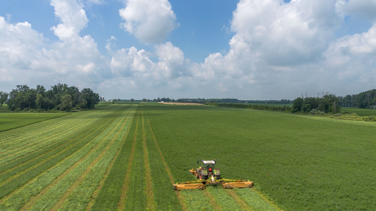 616725 13th Line, Tavistock, Ontario    - Photo 24 - RP1264801936