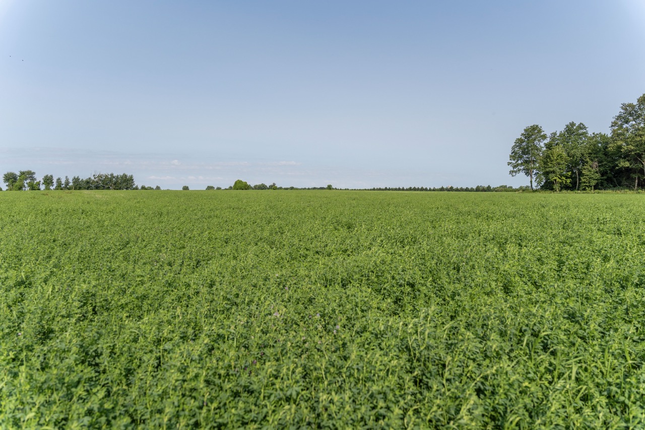 616725 13th Line, Tavistock, Ontario    - Photo 25 - RP1264801936