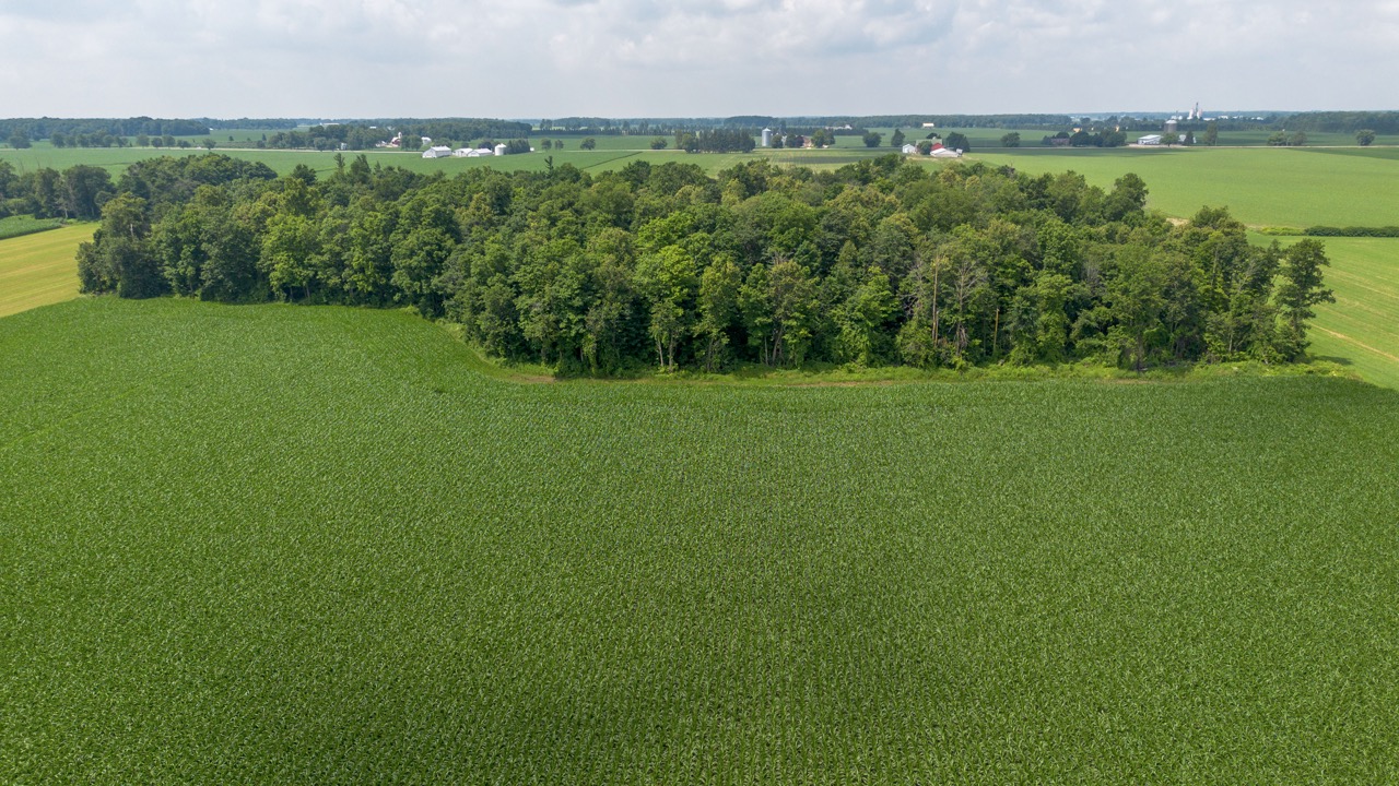 616725 13th Line, Tavistock, Ontario    - Photo 26 - RP1264801936