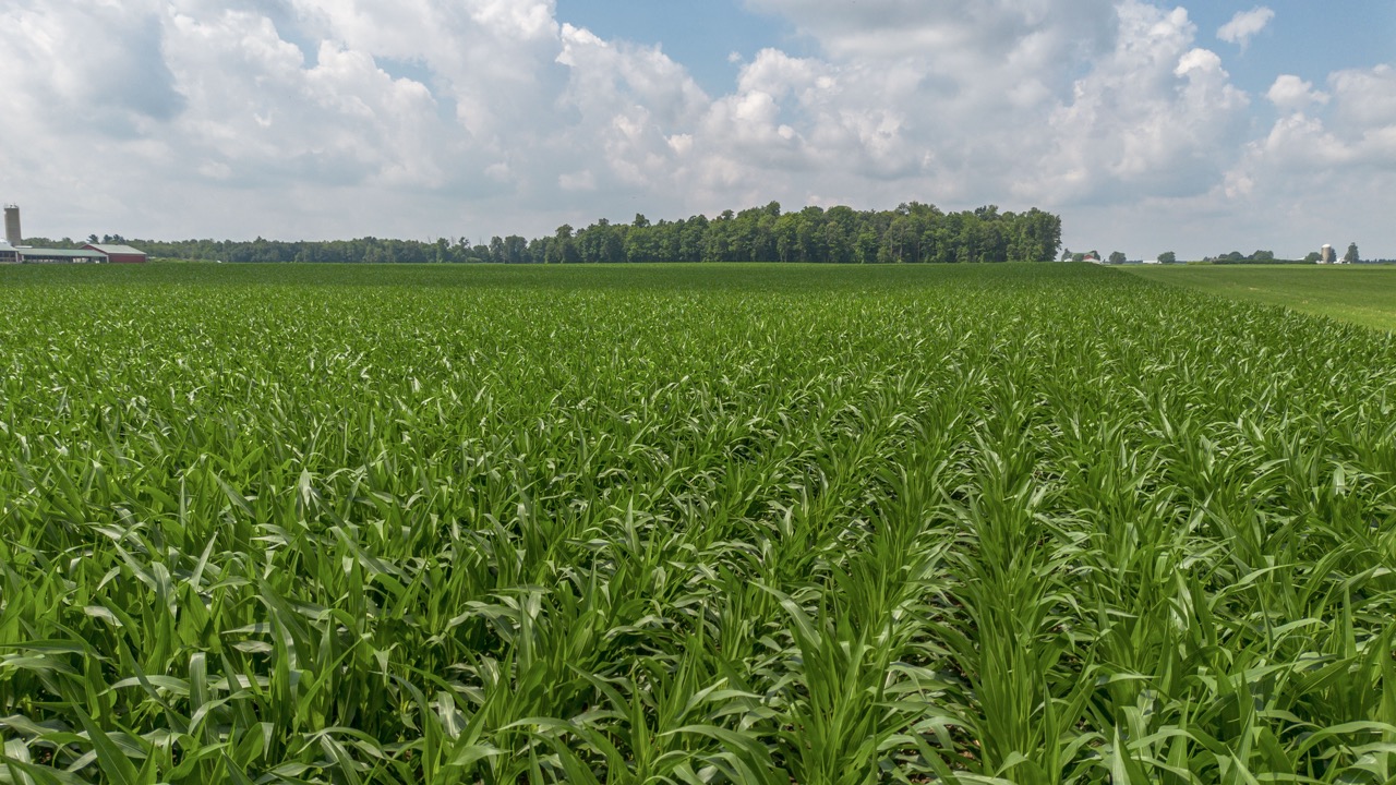 616725 13th Line, Tavistock, Ontario    - Photo 27 - RP1264801936