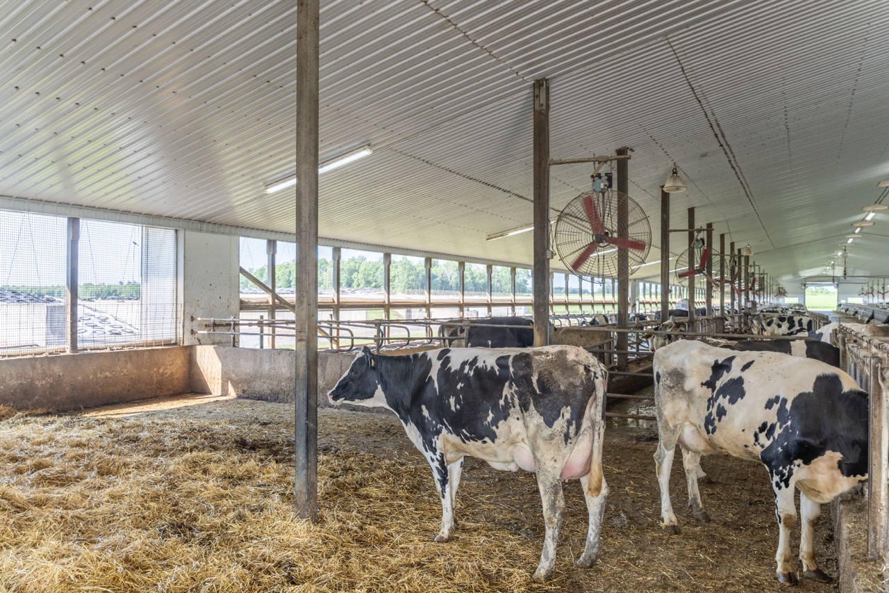 616725 13th Line, Tavistock, Ontario    - Photo 29 - RP1264801936