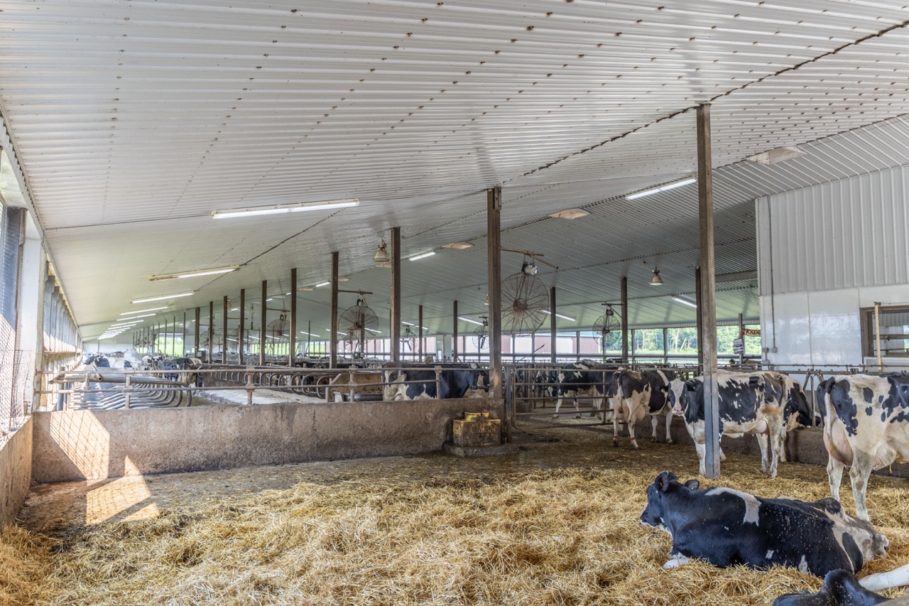 616725 13th Line, Tavistock, Ontario    - Photo 30 - RP1264801936