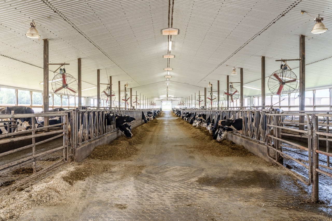 616725 13th Line, Tavistock, Ontario    - Photo 31 - RP1264801936