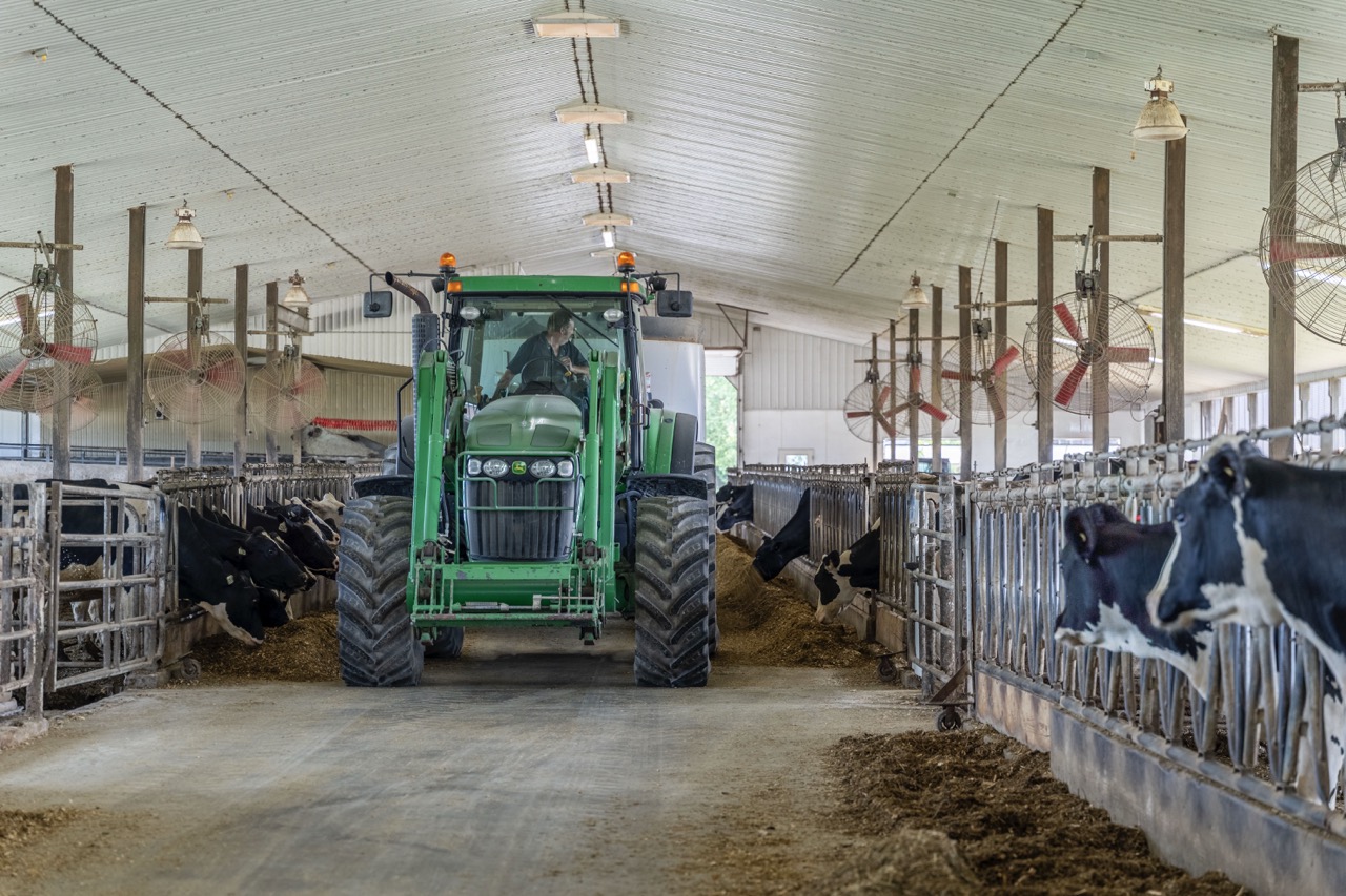 616725 13th Line, Tavistock, Ontario    - Photo 32 - RP1264801936