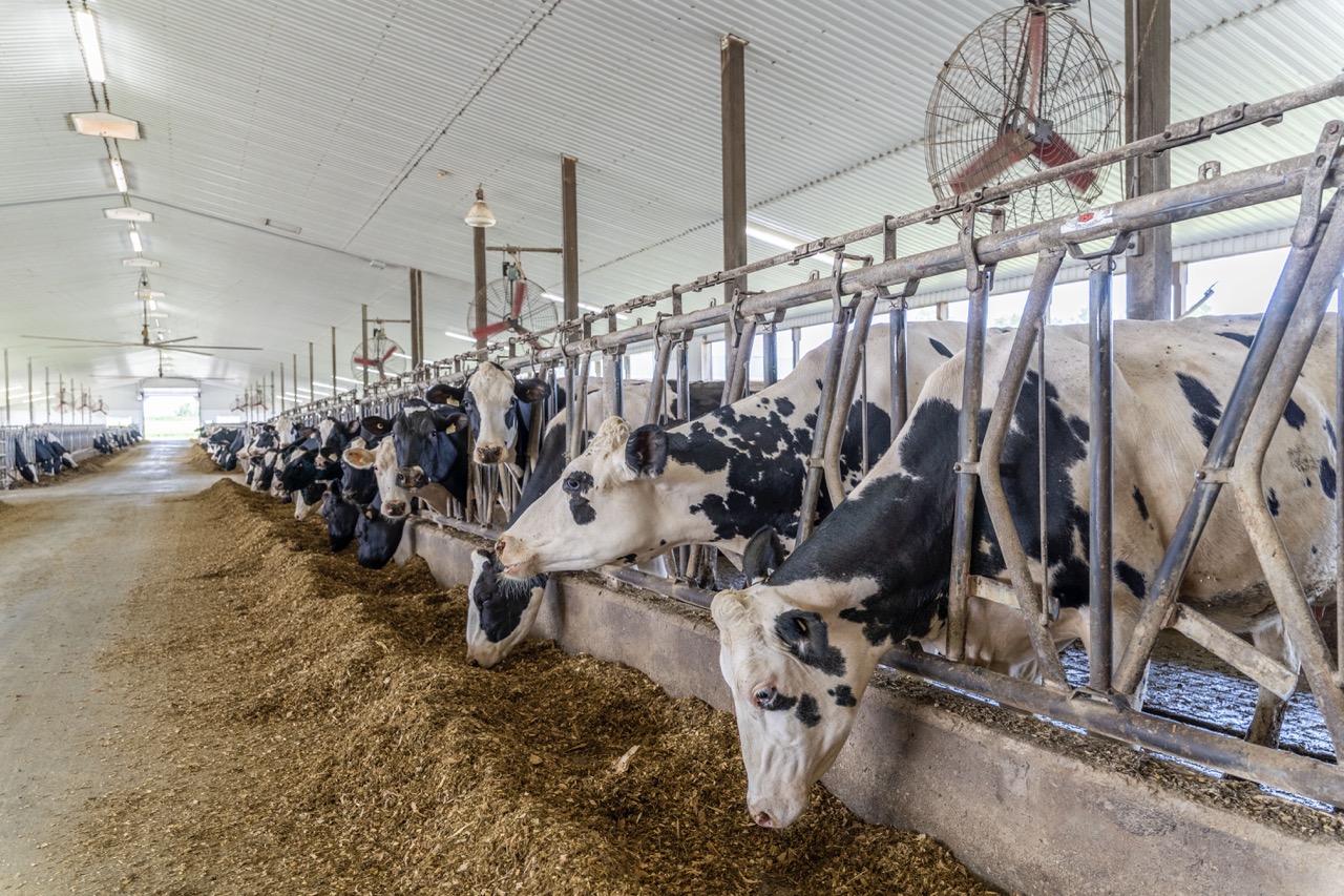 616725 13th Line, Tavistock, Ontario    - Photo 33 - RP1264801936