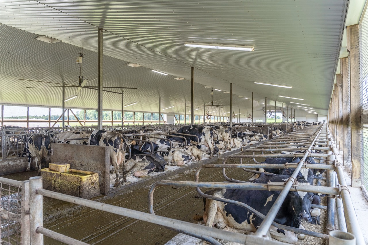 616725 13th Line, Tavistock, Ontario    - Photo 34 - RP1264801936