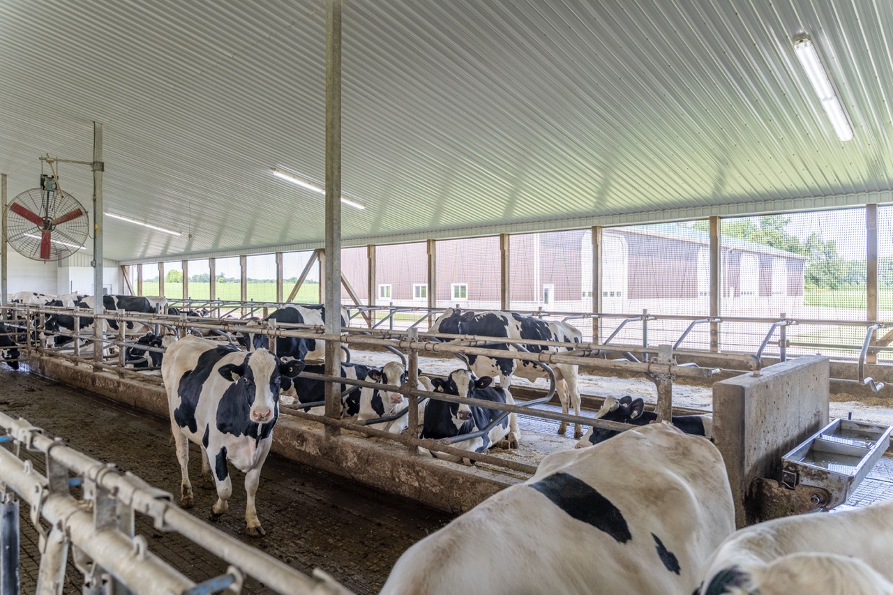 616725 13th Line, Tavistock, Ontario    - Photo 35 - RP1264801936