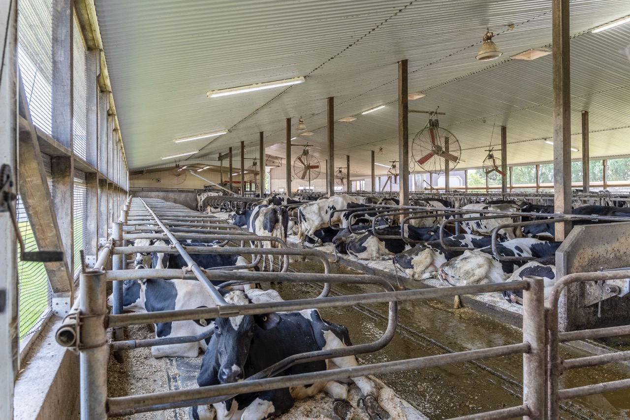 616725 13th Line, Tavistock, Ontario    - Photo 36 - RP1264801936