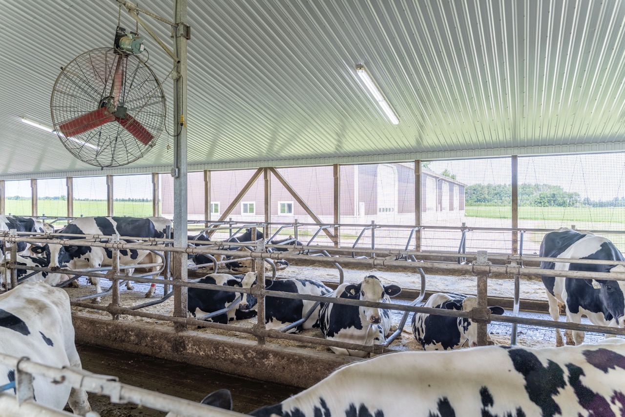 616725 13th Line, Tavistock, Ontario    - Photo 37 - RP1264801936