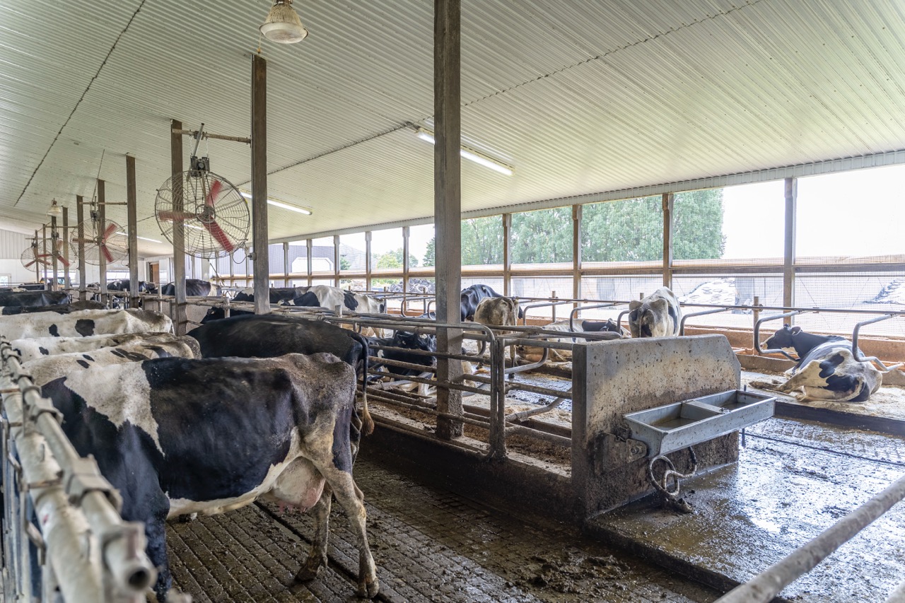 616725 13th Line, Tavistock, Ontario    - Photo 38 - RP1264801936