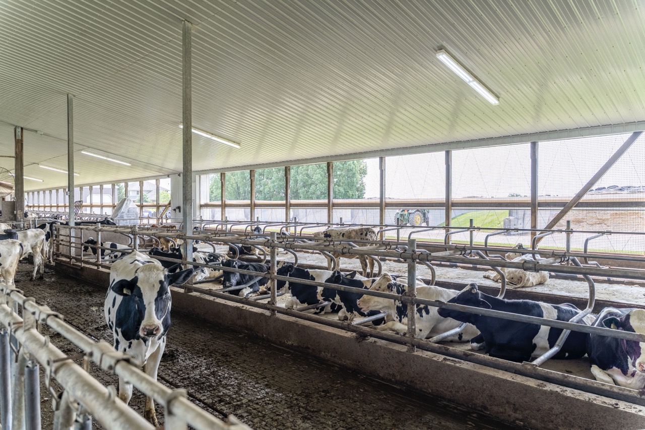 616725 13th Line, Tavistock, Ontario    - Photo 39 - RP1264801936