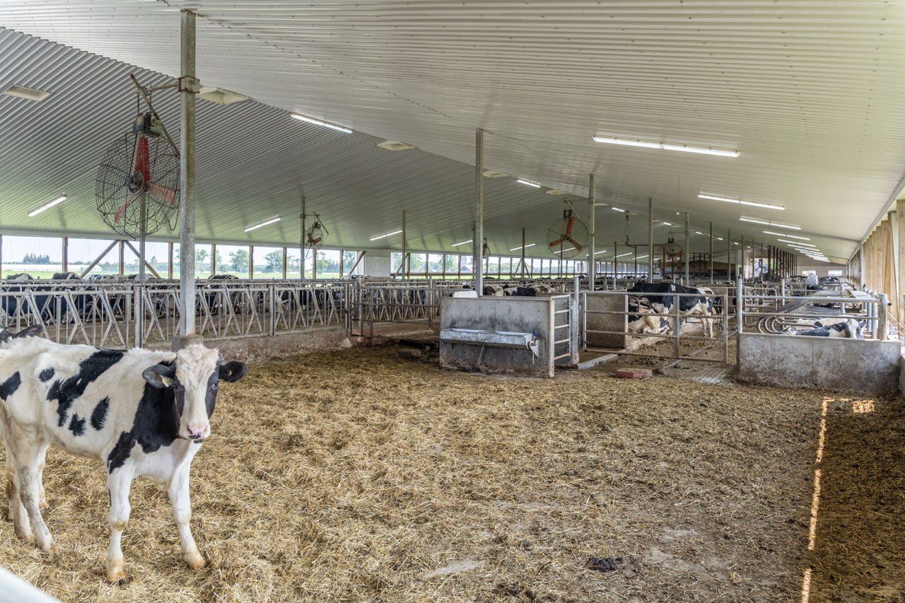 616725 13th Line, Tavistock, Ontario    - Photo 41 - RP1264801936