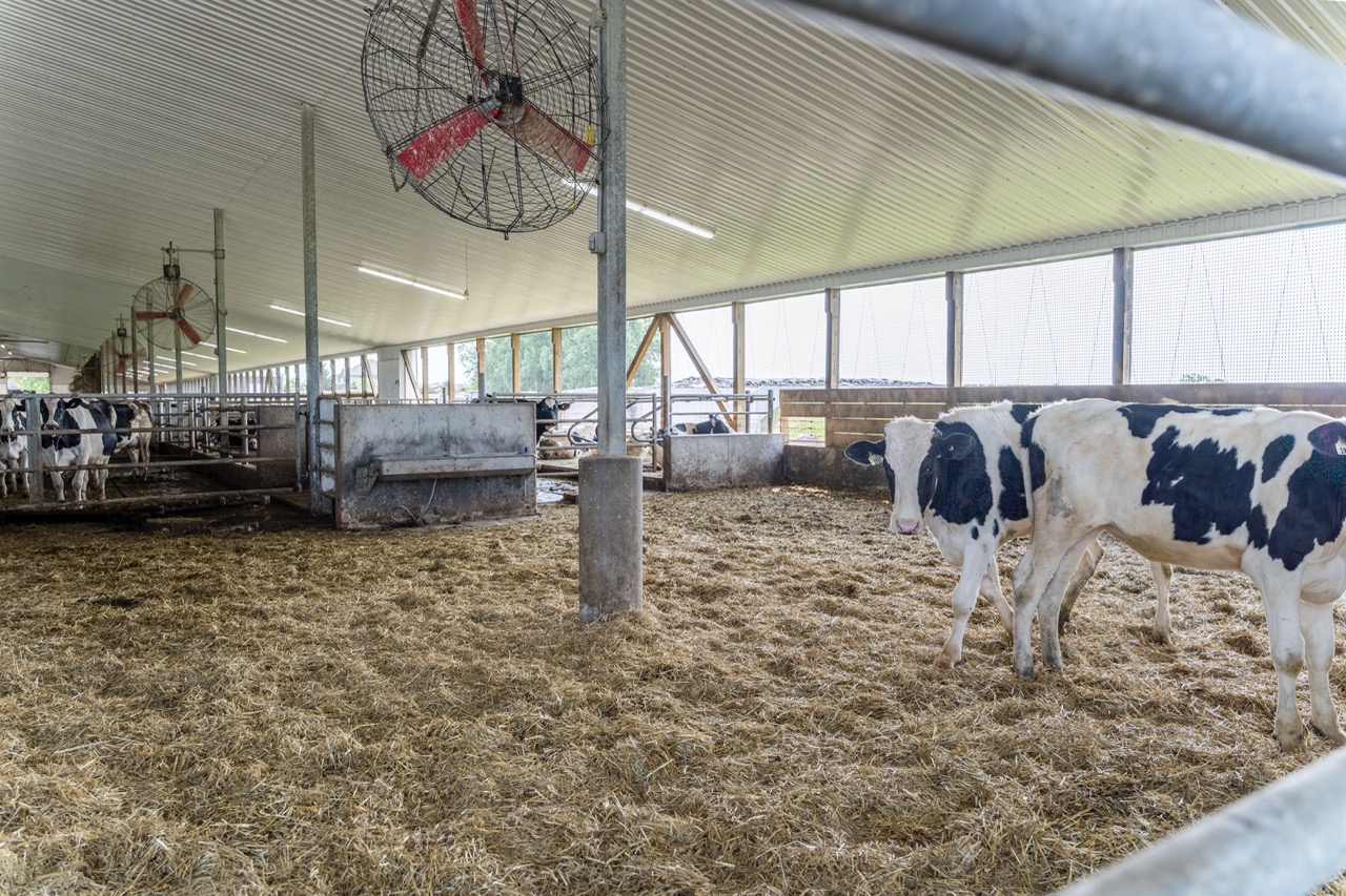 616725 13th Line, Tavistock, Ontario    - Photo 42 - RP1264801936